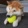 Load image into Gallery viewer, LaRoo - Balle Rugby en Caoutchouc pour chien LaRoo
