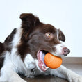 Load image into Gallery viewer, LaRoo - Balle Rugby en Caoutchouc pour chien LaRoo
