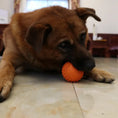 Load image into Gallery viewer, LaRoo - Balle Softball en Caoutchouc pour chien LaRoo
