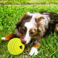 Load image into Gallery viewer, LaRoo - Balle Yummy pour chien LaRoo
