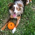 Load image into Gallery viewer, LaRoo - Balle Yummy pour chien LaRoo
