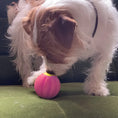 Load image into Gallery viewer, LaRoo - Balle à Mâcher pour chien LaRoo
