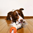 Charger l'image dans la visionneuse de la galerie, LaRoo - Balle avec Corde pour chien LaRoo

