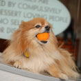 Load image into Gallery viewer, LaRoo - Balle en Caoutchouc pour chiot et petit chien LaRoo
