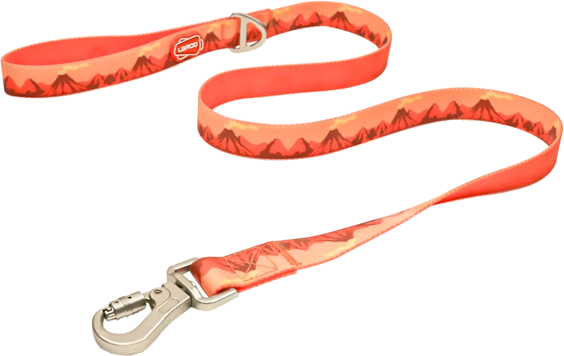 LaRoo - Laisse Mount-Etna L (Orange) LaRoo