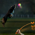 Load image into Gallery viewer, LaRoo - Lanceur de Balle (Orange) LaRoo
