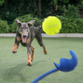 Load image into Gallery viewer, LaRoo - Lanceur de Balle (Blue) LaRoo
