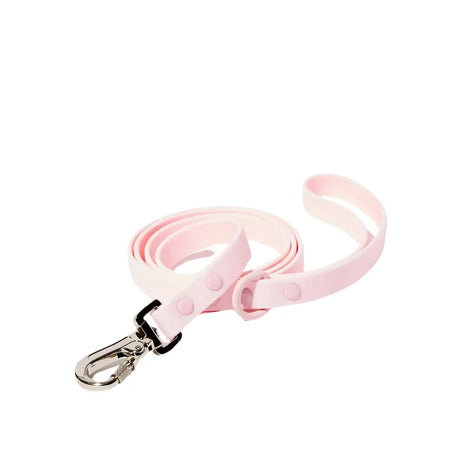 Laisse imperméable pour chien The Sharper Barker