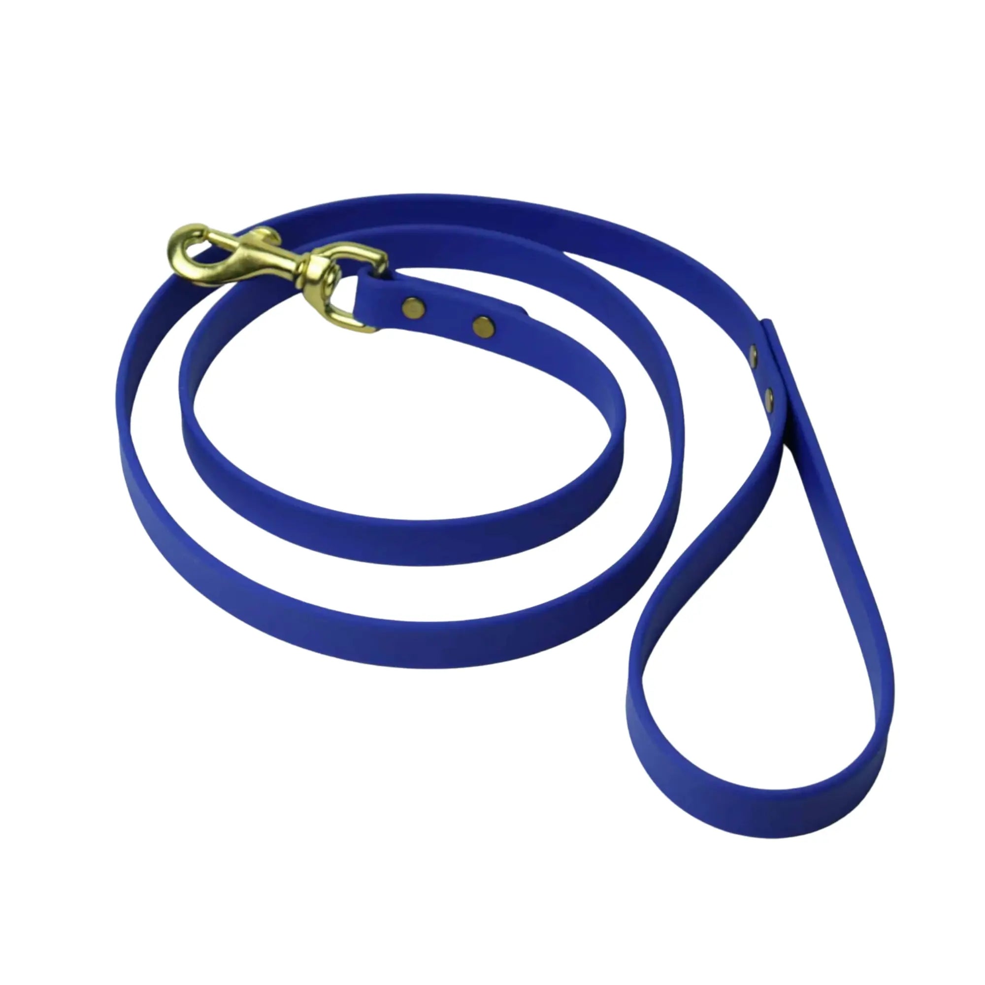 Leash Paw - Laisse régulière en biothane pour chiens