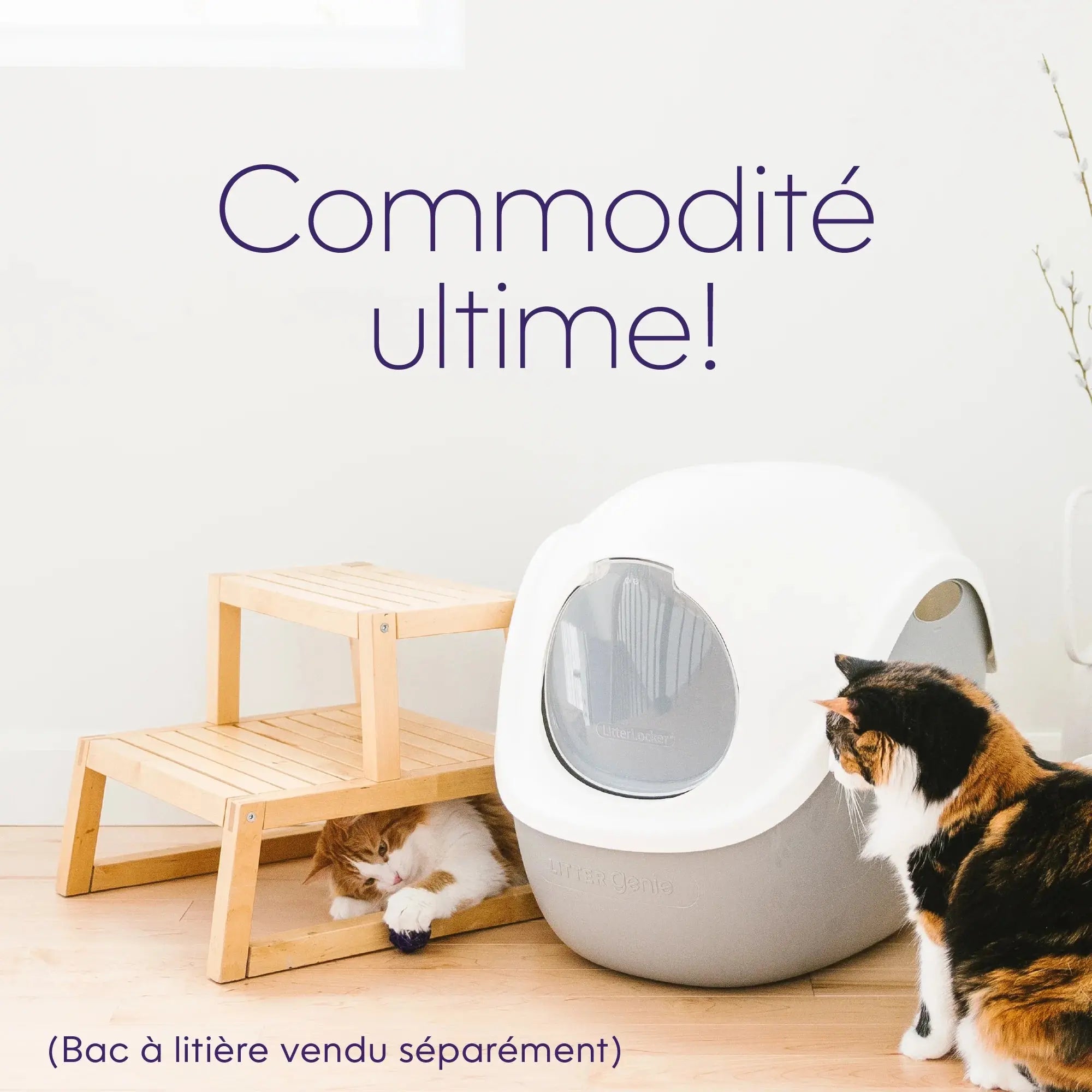 Litter Genie - Dôme pour bac a litière pour chats Litter Genie