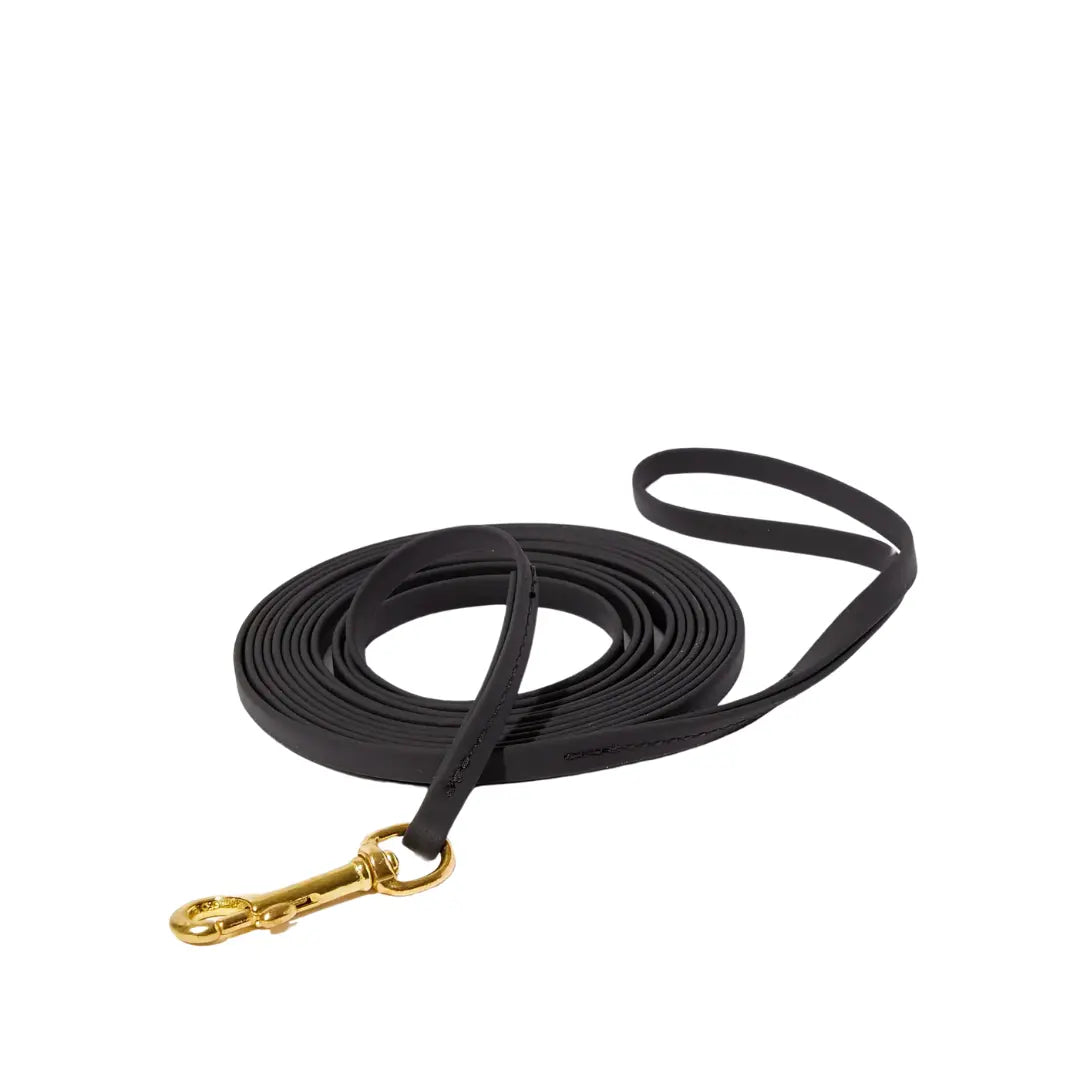 Longe noire imperméable pour chien Livora