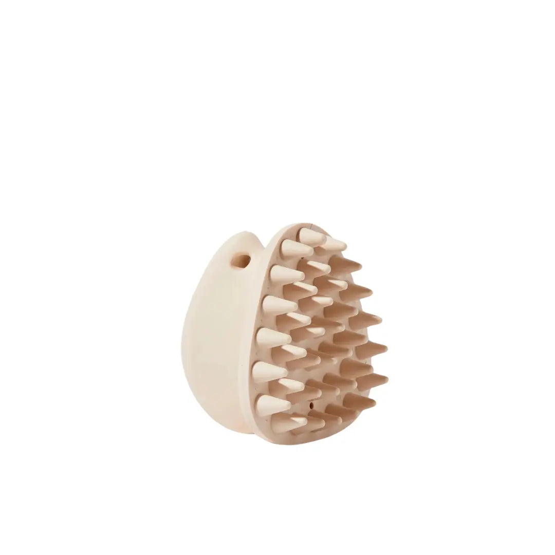 MaxBone - Brosse de massage thérapeutique pour chien Maxbone