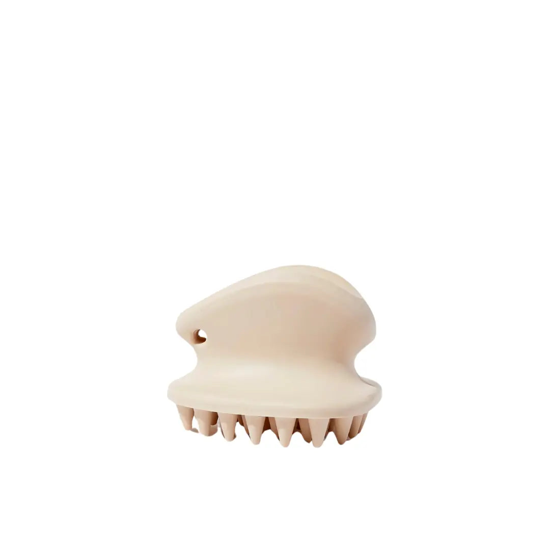 MaxBone - Brosse de massage thérapeutique pour chien Maxbone