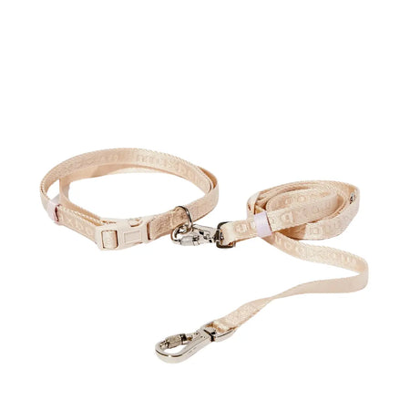 MaxBone - Laisse-ceinture mains libres Maxbone