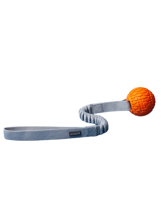 N-GAGE - Jouet Hydro Bungee Handler pour chien - Livora