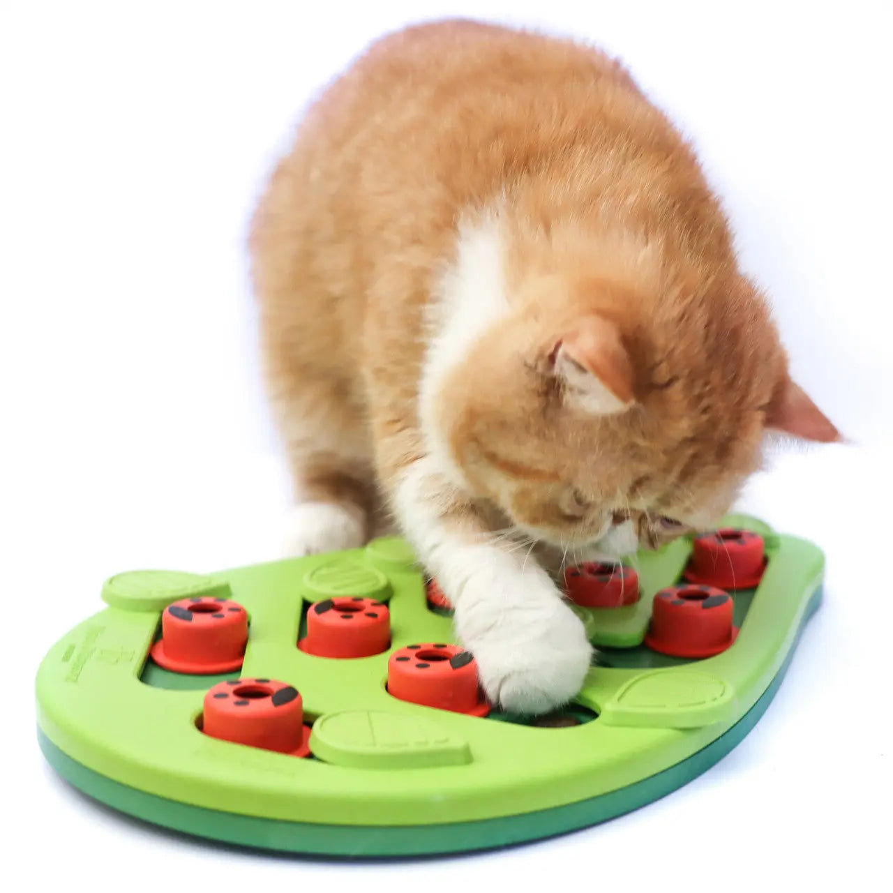 Nina Ottosson - Puzzle Buggin-Out pour chats Nina Ottosson
