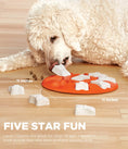 Charger l'image dans la visionneuse de la galerie, Nina Ottosson - Puzzle Dog Smart pour chiens Nina Ottosson
