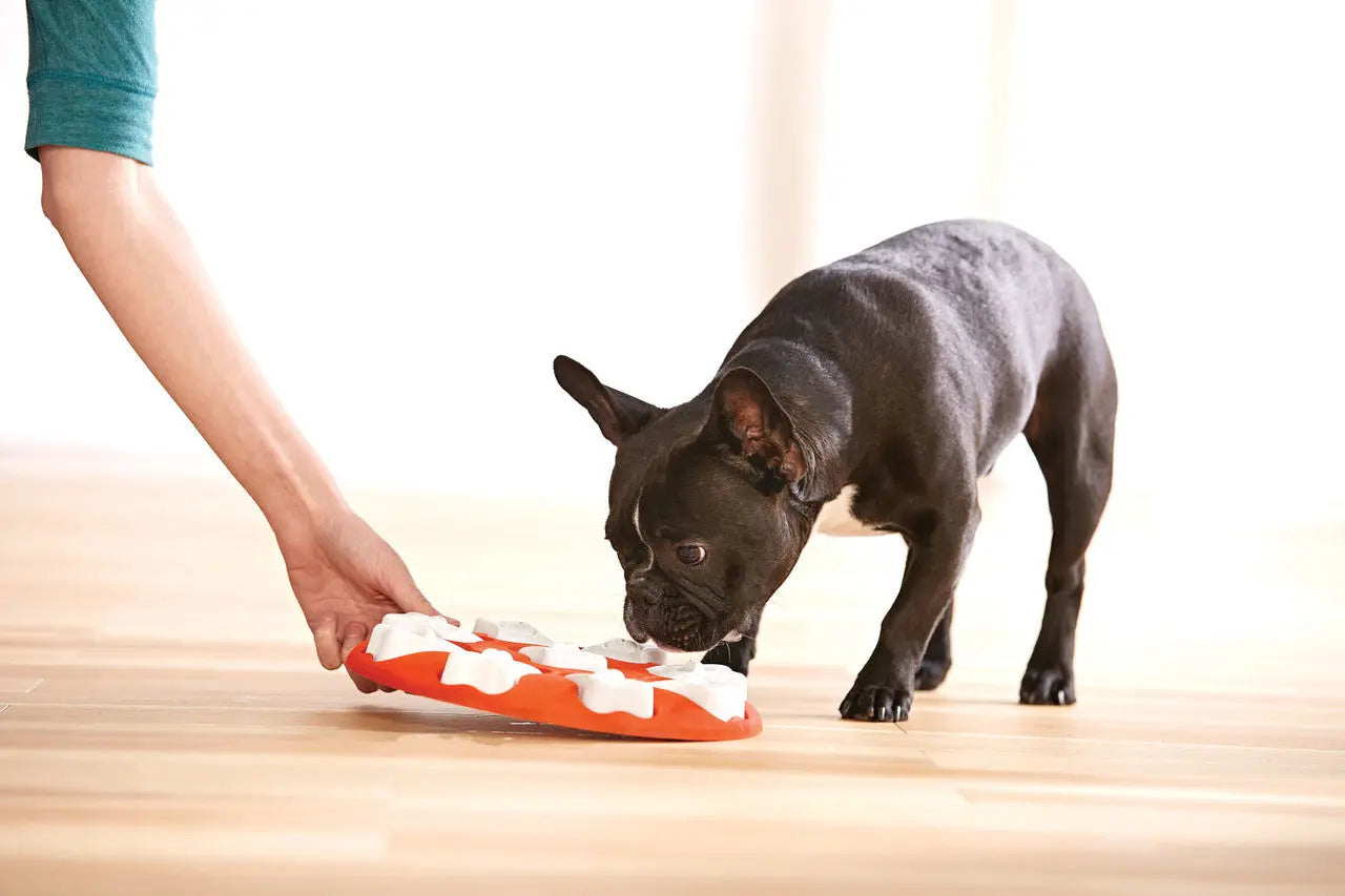 Nina Ottosson - Puzzle Dog Smart pour chiens Nina Ottosson