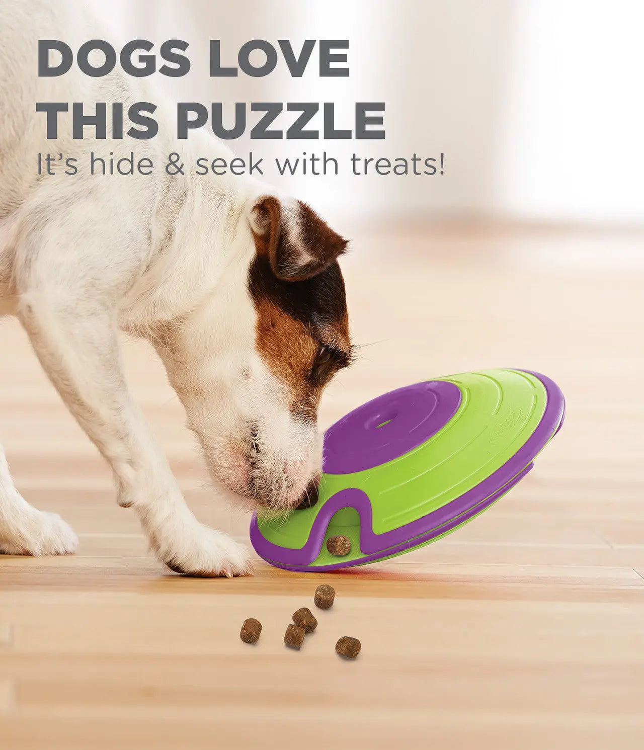 Nina Ottosson - Puzzle Treat Maze pour chiens Nina Ottosson