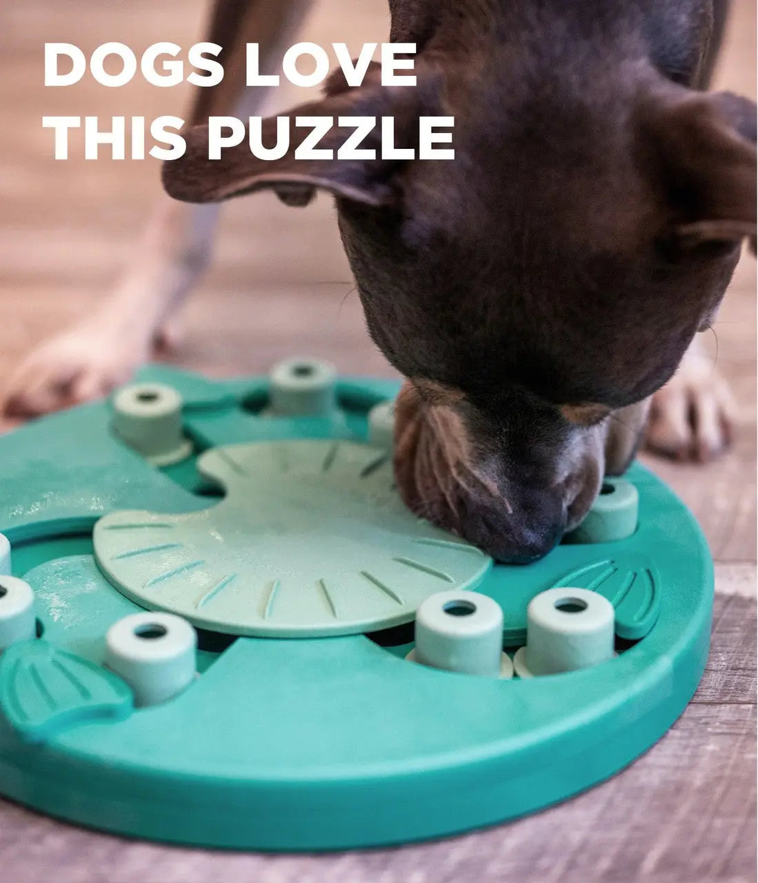 Nina Ottosson - Puzzle Worker jeux pour chiens Nina Ottosson