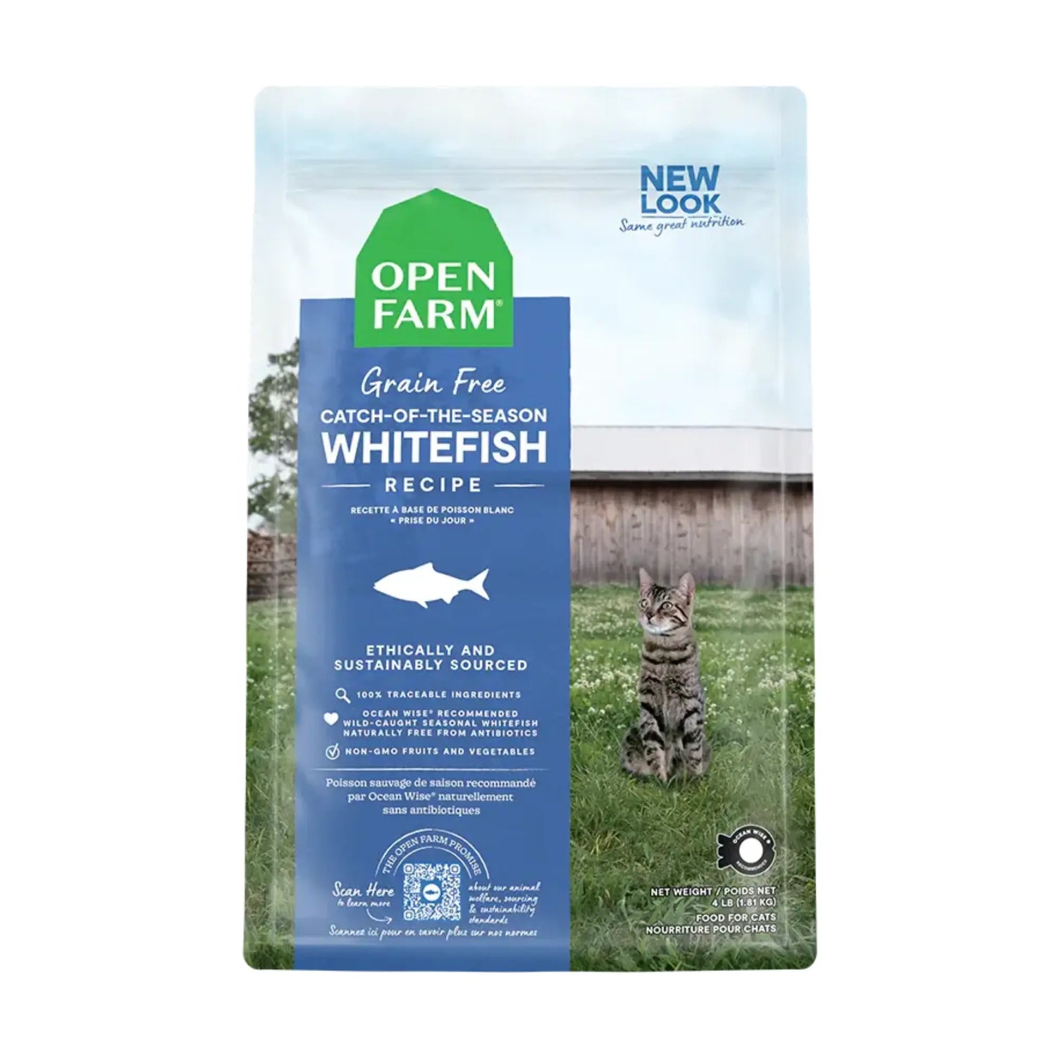 Cat food kibble