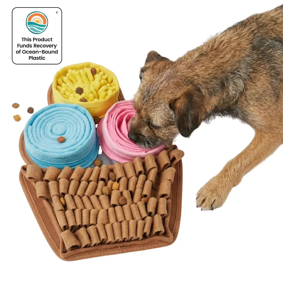 PawzNDogz - Tapis de fouille pour chiens