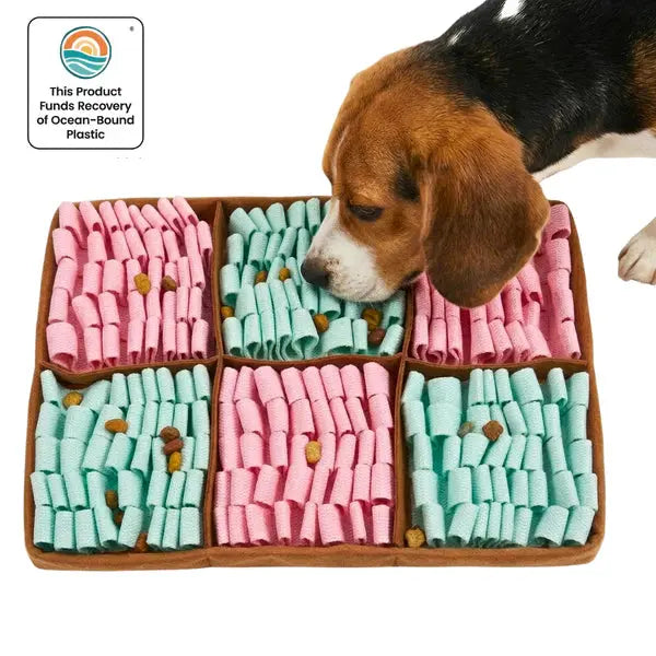 PawzNDogz - Tapis de fouille pour chiens
