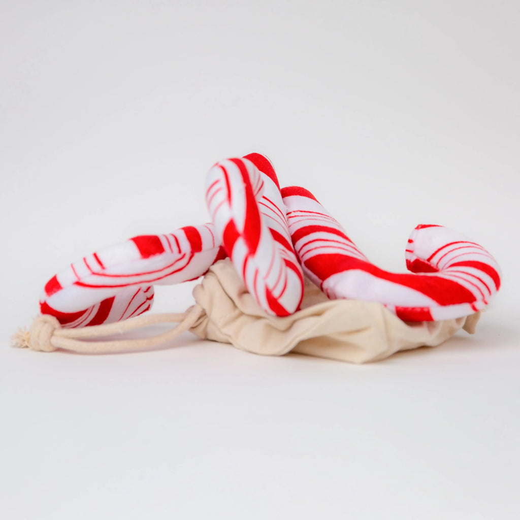 Peluche interactive de cannes de Noël - Livora-Woouf 2.0