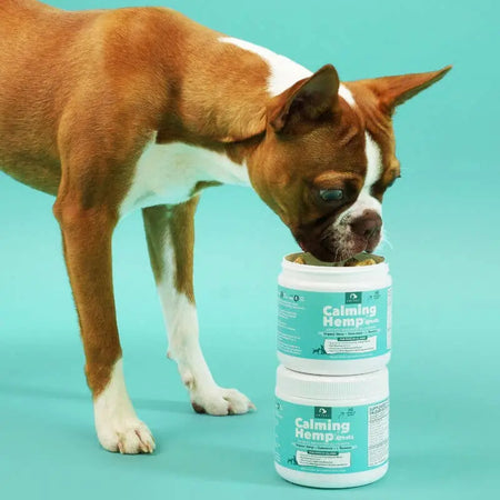 PetPal - Gâteries douces à mâcher calmantes au chanvre pour chiens - Complément pour animaux Petpal