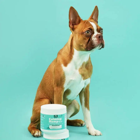 PetPal - Gâteries douces à mâcher calmantes au chanvre pour chiens - Complément pour animaux Petpal