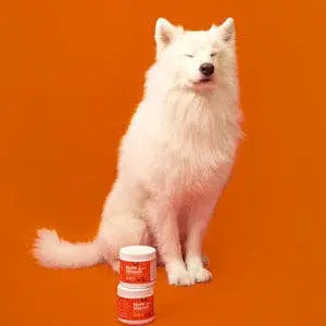 PetPal - Gâteries molles à mâcher multivitamines pour chiens - Complément pour animaux de compagnie Petpal