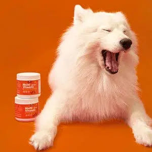 PetPal - Gâteries molles à mâcher multivitamines pour chiens - Complément pour animaux de compagnie Petpal