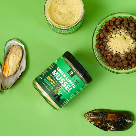 PetPal - Poudre de moules vertes de Nouvelle-Zélande pour chiens - Complément pour animaux Petpal