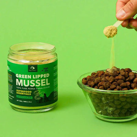 PetPal - Poudre de moules vertes de Nouvelle-Zélande pour chiens - Complément pour animaux Petpal