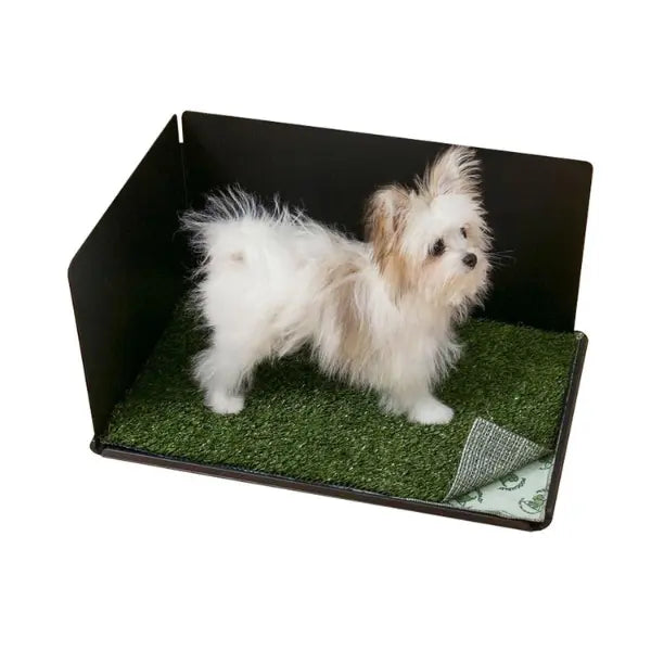 Pooch Pad - Plateau d'entrainement d'intérieur pour chiens 16x24