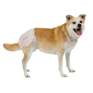 Pooch Pants - Couche jetable pour chiens en bamboo (femelle) Pooch