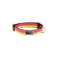 Load image into Gallery viewer, RC - Collier Clip 5/8 - Modèles variés RC Pet
