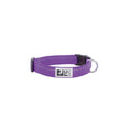 Load image into Gallery viewer, RC - Collier Clip Primary 3/4 - Modèles Variés - S RC Pet
