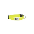 Load image into Gallery viewer, RC - Collier Clip Primary 3/4 - Modèles Variés - S RC Pet
