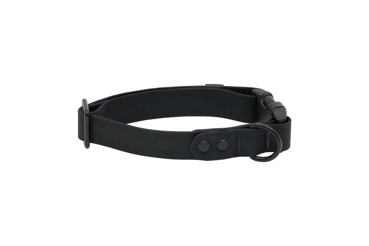 RC - Waterproof Dog Collar