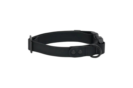 RC - Collier Imperméable pour chien
