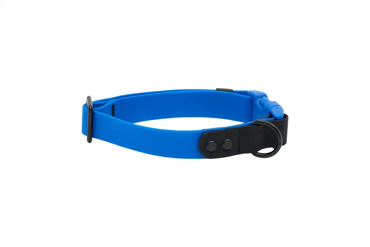 RC - Waterproof Dog Collar