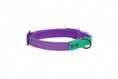 Load image into Gallery viewer, RC - Waterproof Dog Collar
