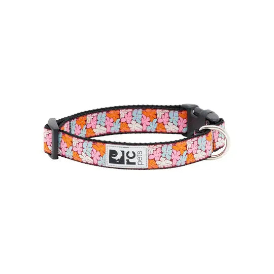 RC - Collier Très Petit pour chien 5/8 RC Pet
