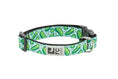 Load image into Gallery viewer, RC - Extra Small Dog Collar 5/8
