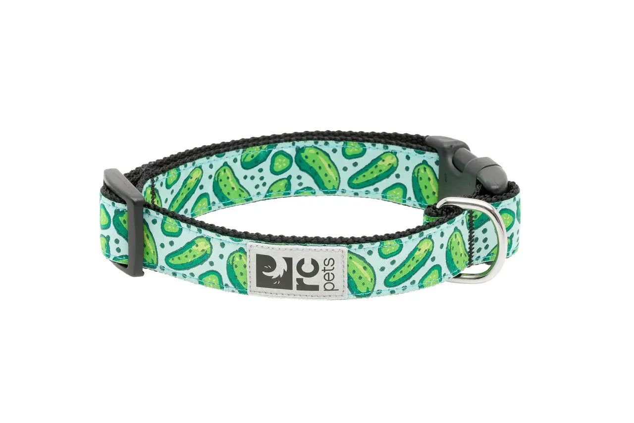 RC - Extra Small Dog Collar 5/8