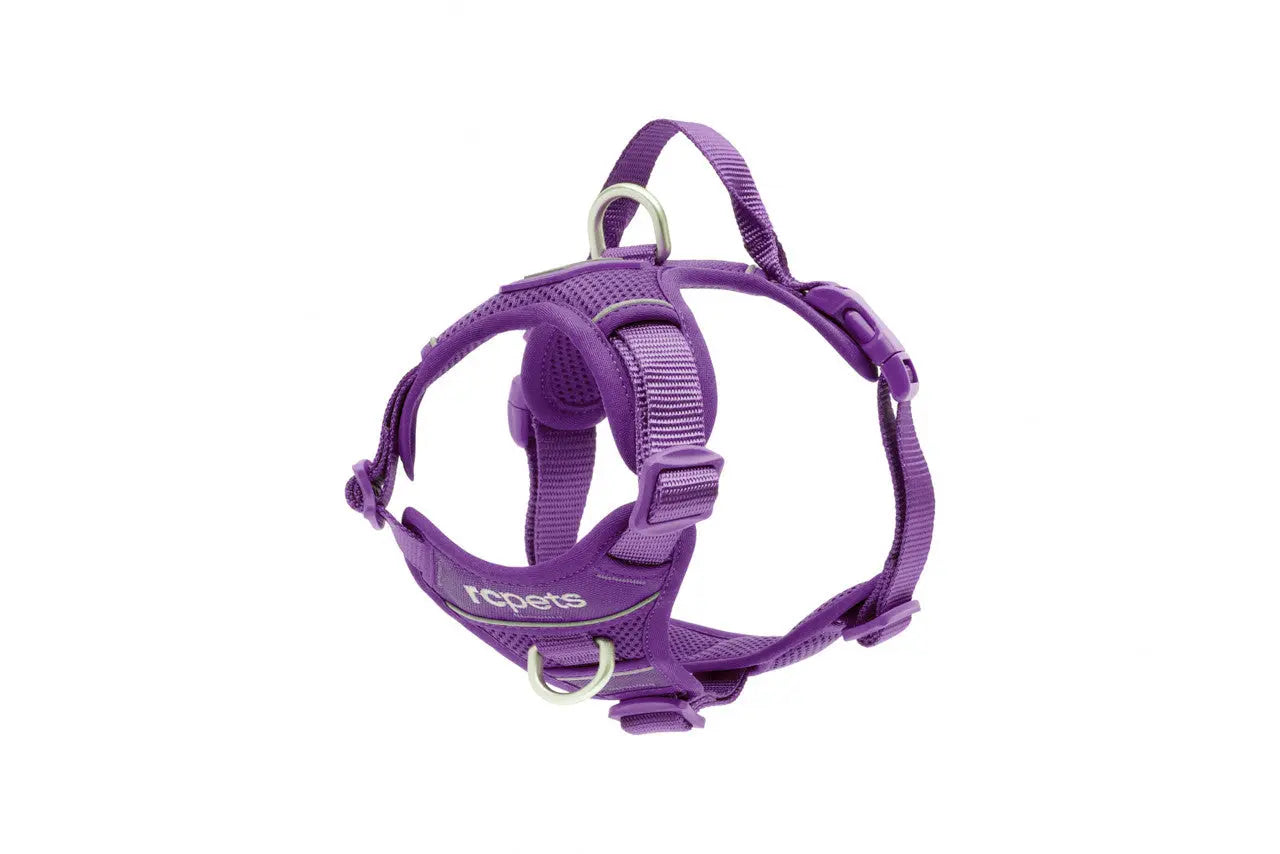 RC - Harnais de Contrôle pour chien Momentum RC Pet