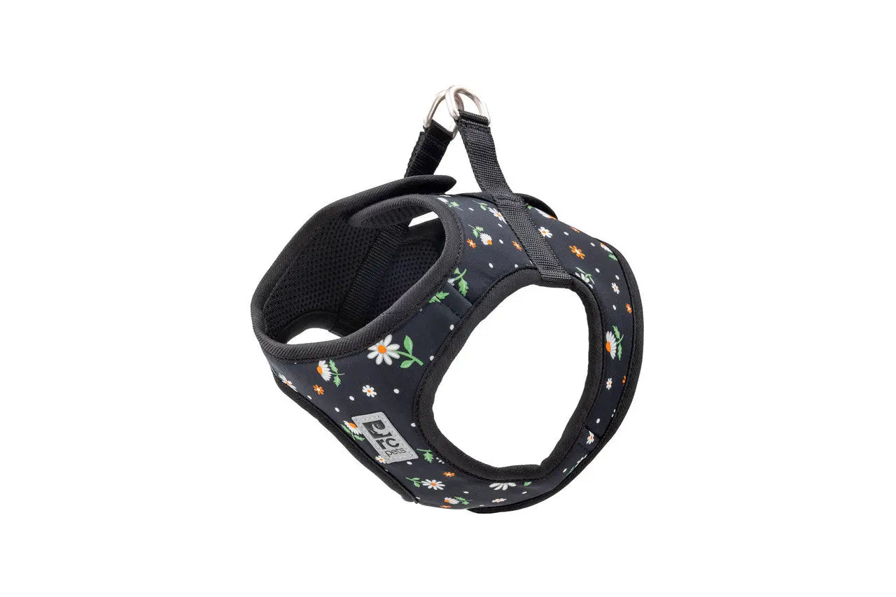 RC - Harnais pour chien StepIn Cirque - Couleurs Variés RC Pet