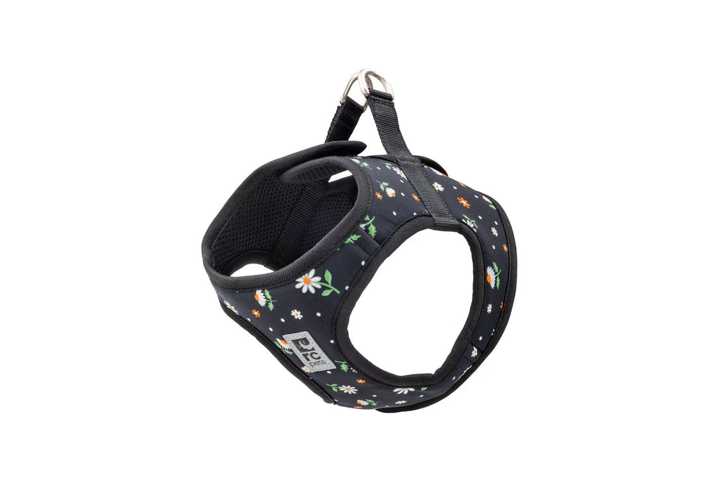 RC - Harnais pour chien StepIn Cirque - Couleurs Variés RC Pet