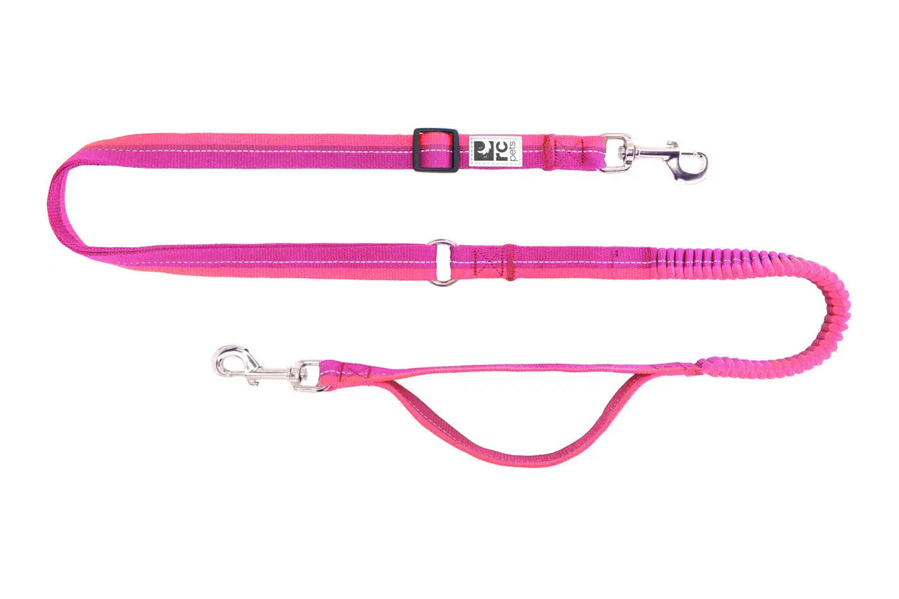 RC - Laisse Active Bungee pour chien RC Pet